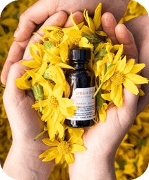 Balmorex Pro Ingredients